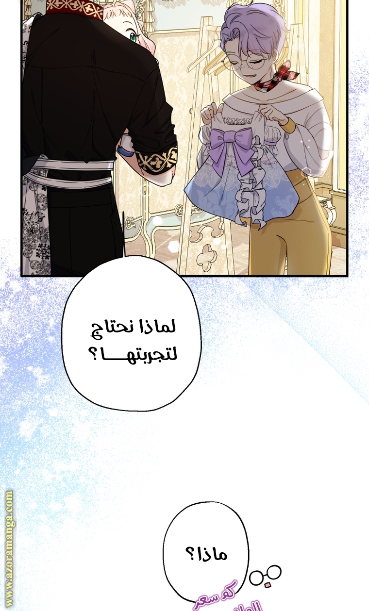 الصفحة 41
