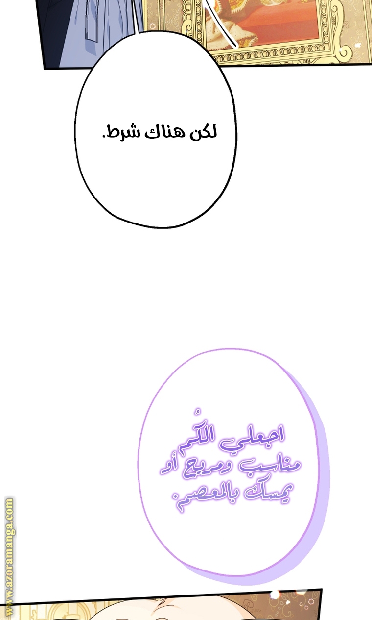 الصفحة 48