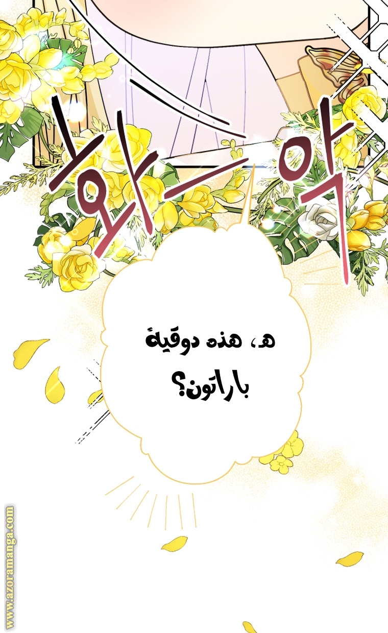 الصفحة 62