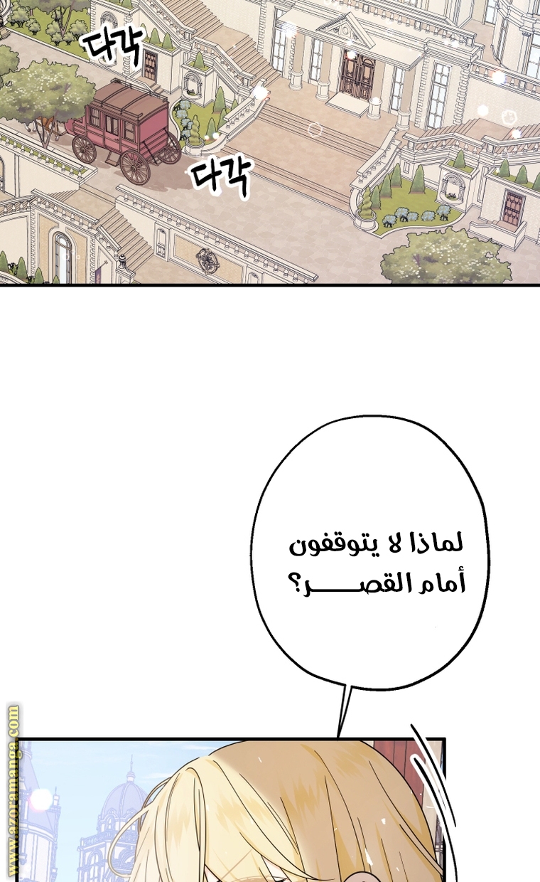 الصفحة 67