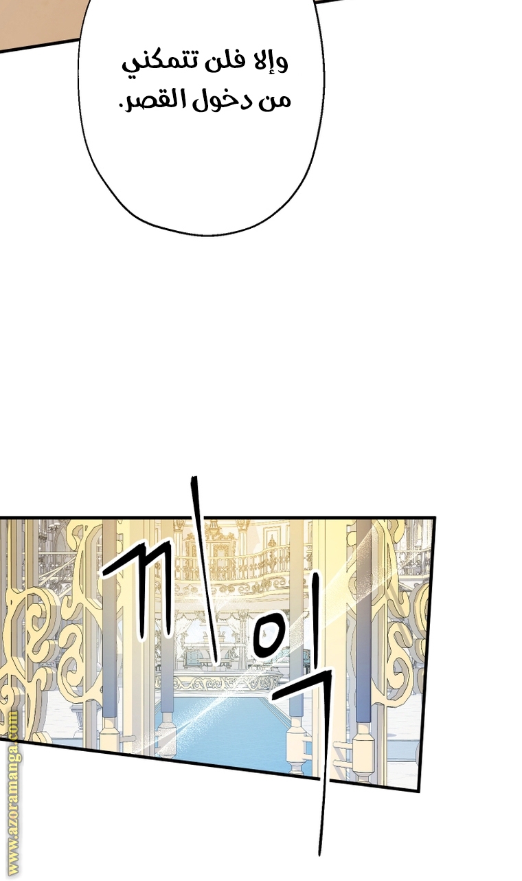 الصفحة 79