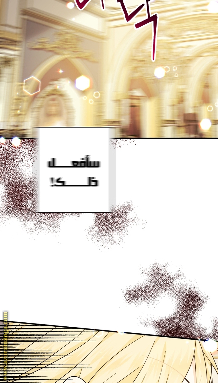 الصفحة 101
