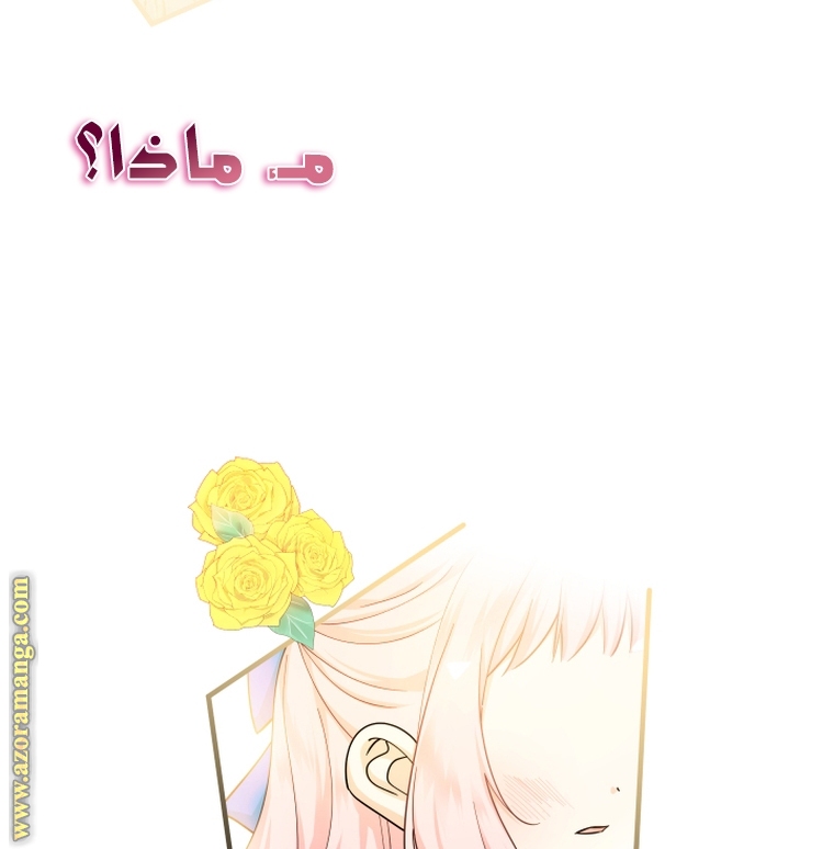 الصفحة 106
