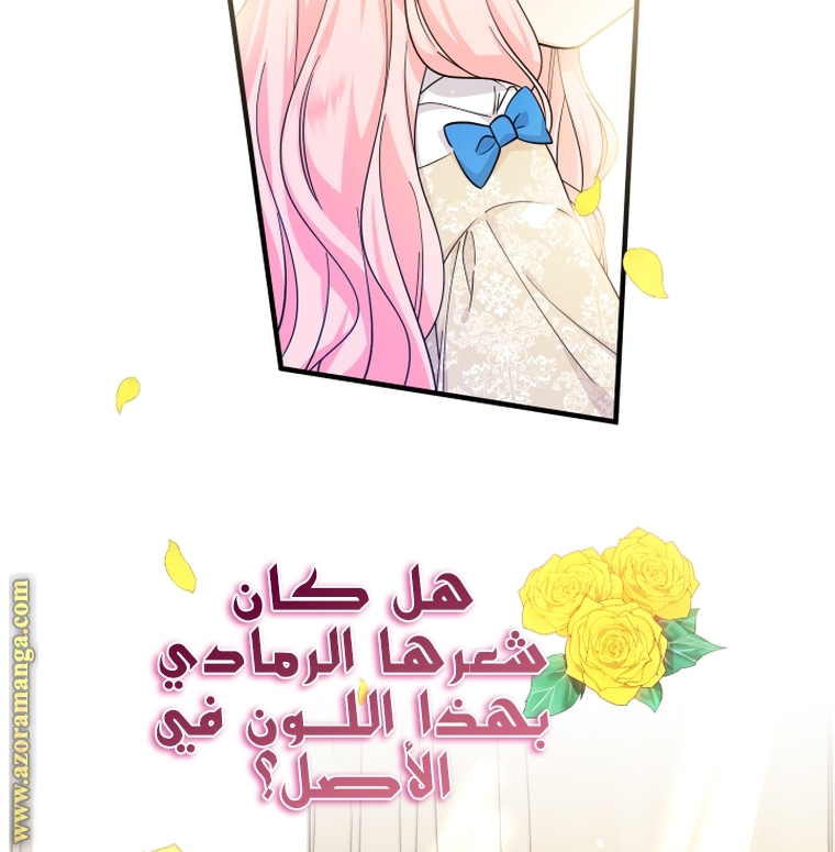 الصفحة 107