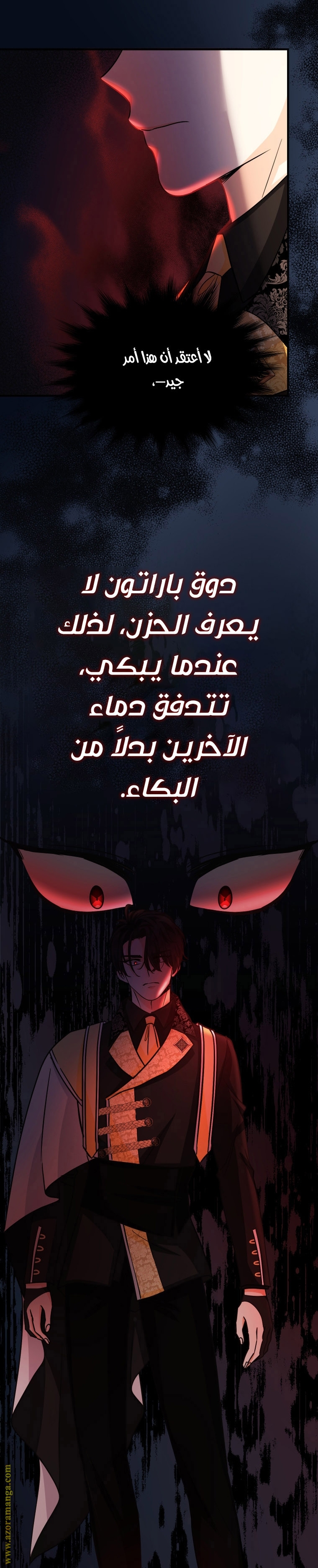 الصفحة 27