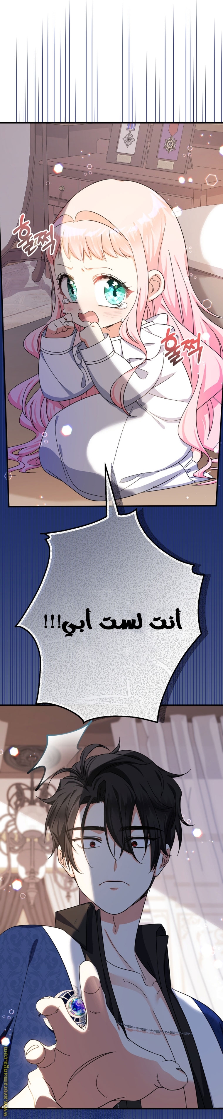 الصفحة 25