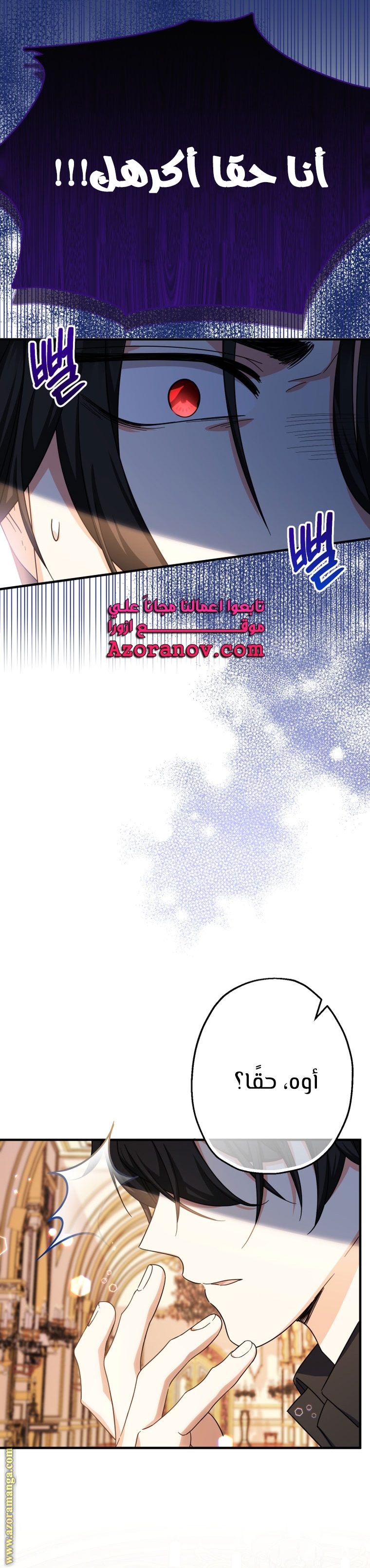 الصفحة 26