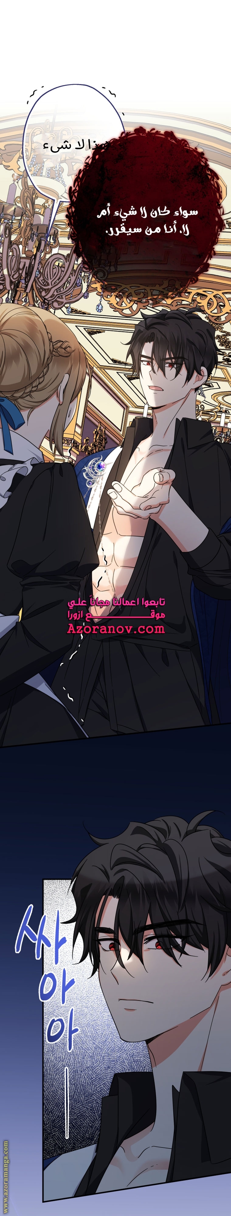 الصفحة 29