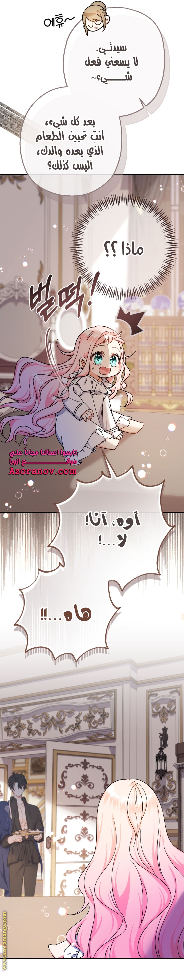الصفحة 17