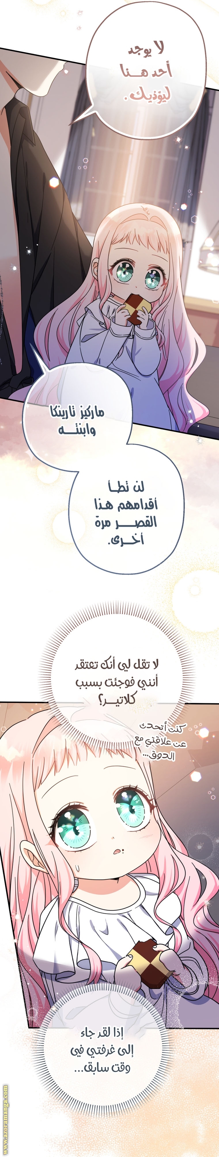 الصفحة 27