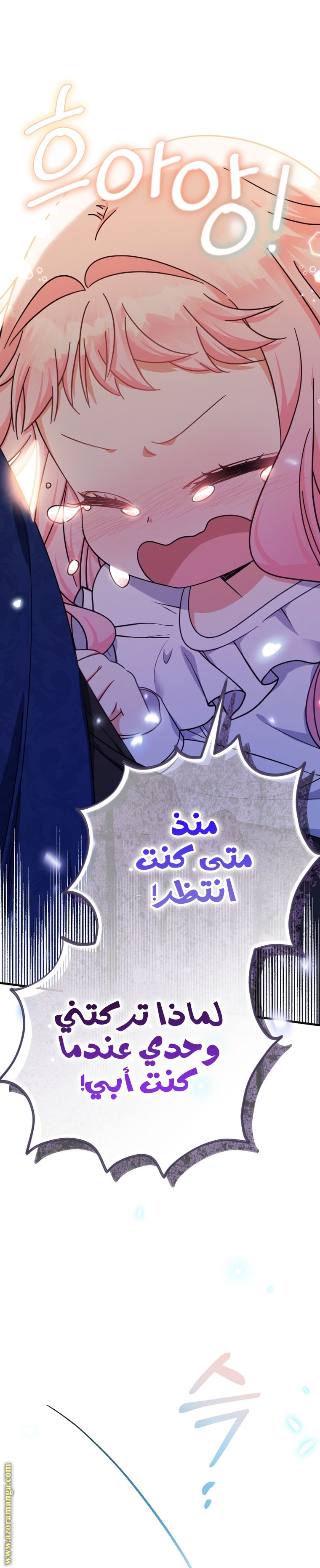 الصفحة 39