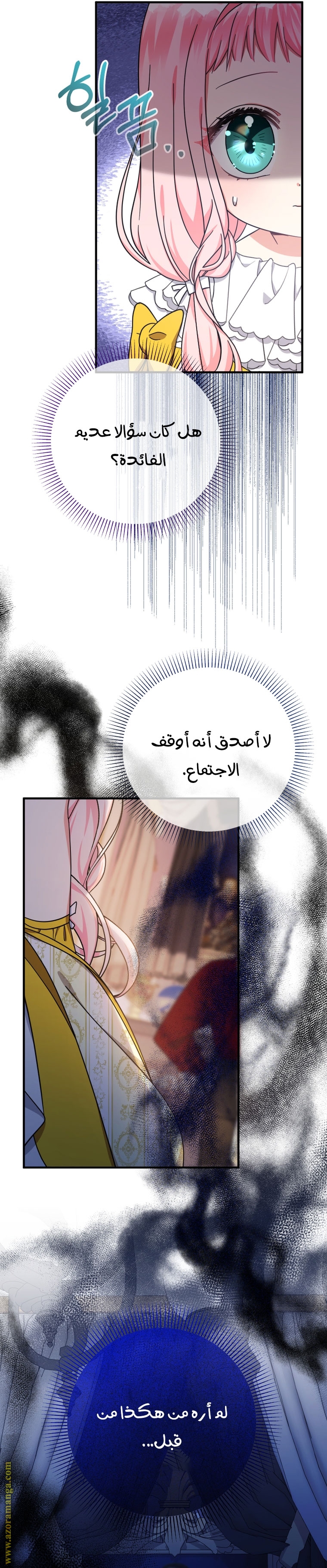 الصفحة 27
