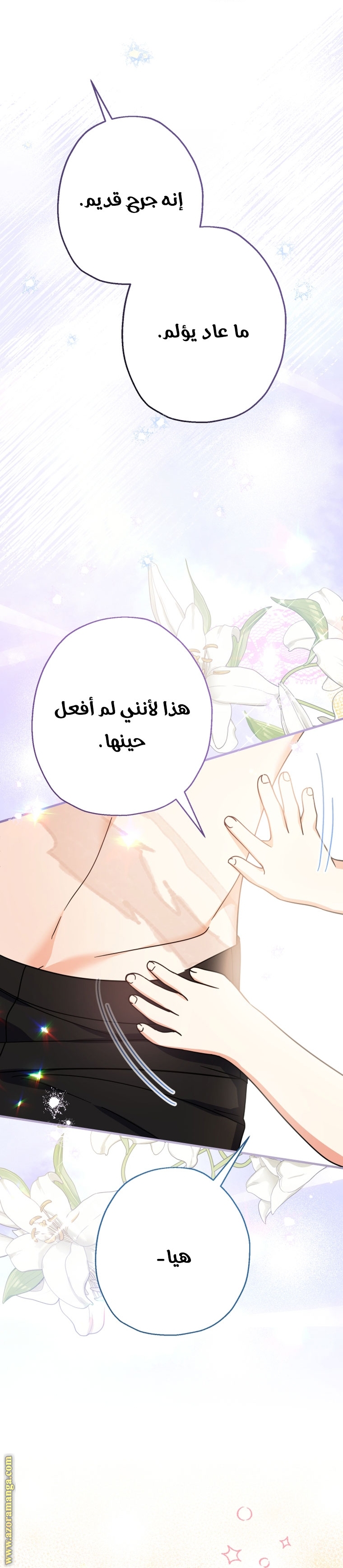 الصفحة 12