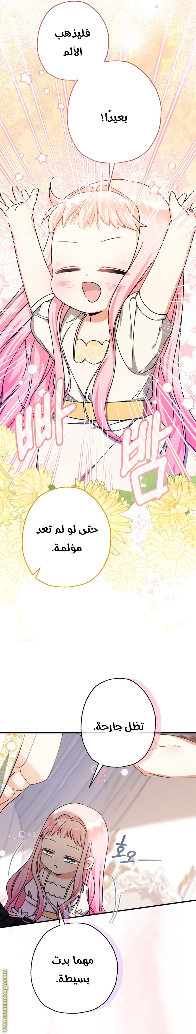 الصفحة 13