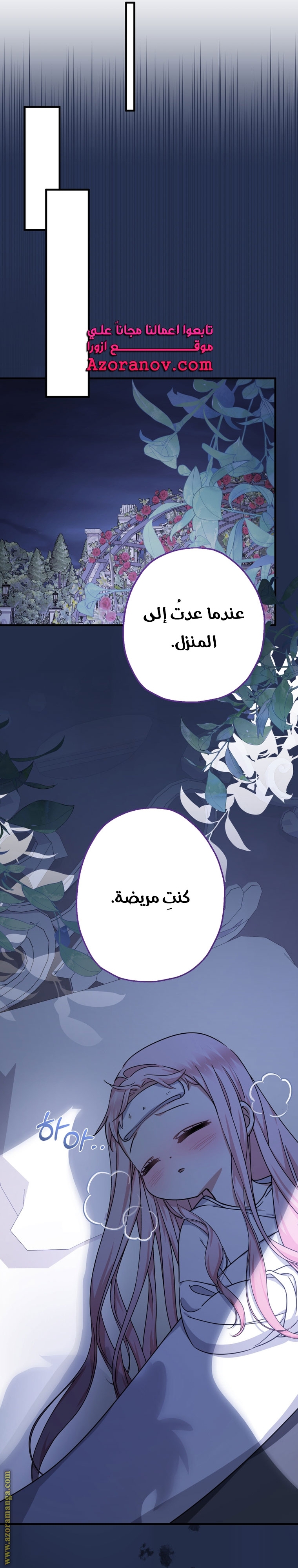 الصفحة 17