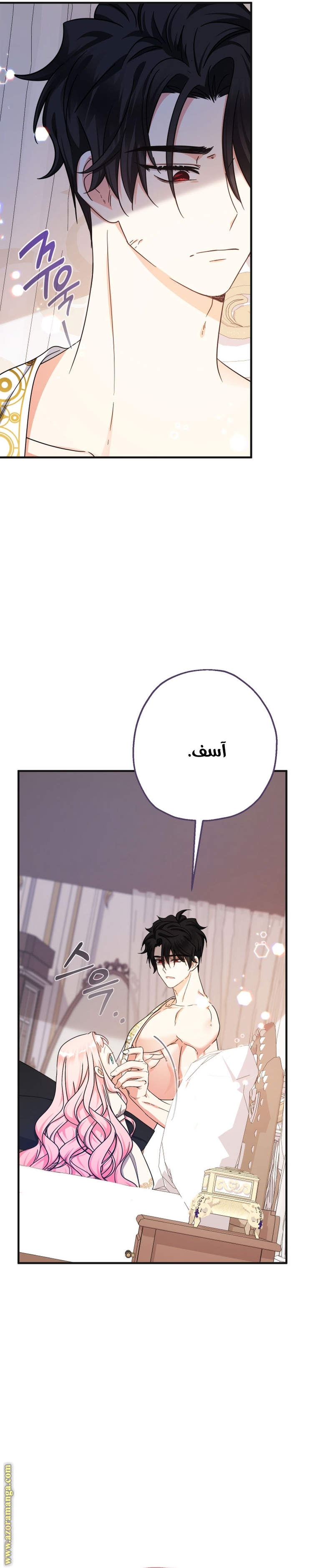 الصفحة 25