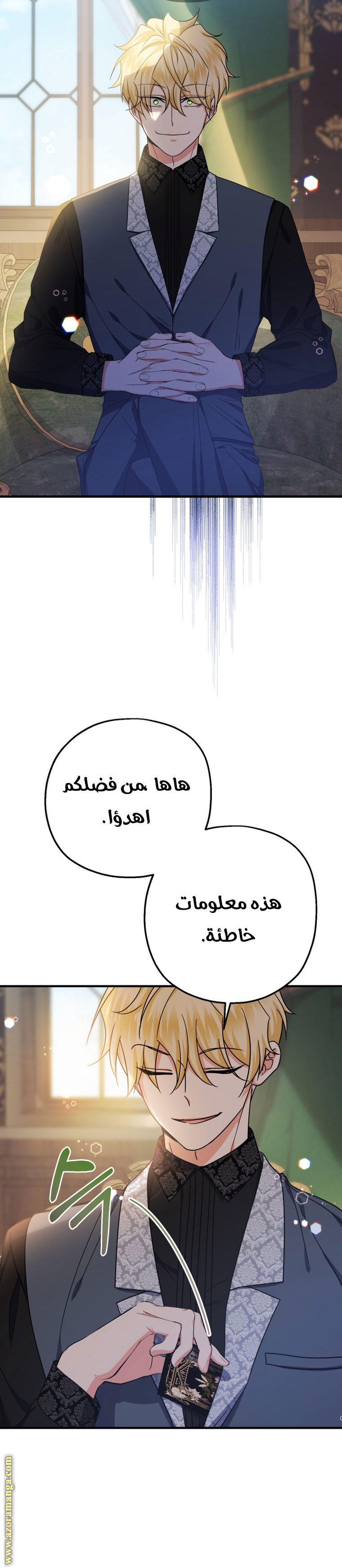 الصفحة 27