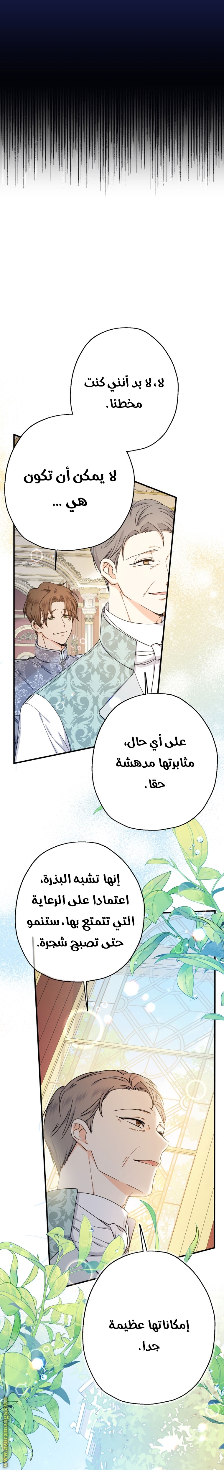 الصفحة 41