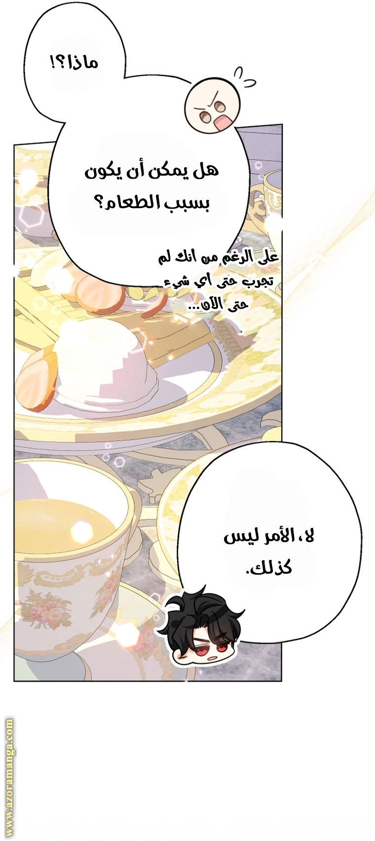 الصفحة 16