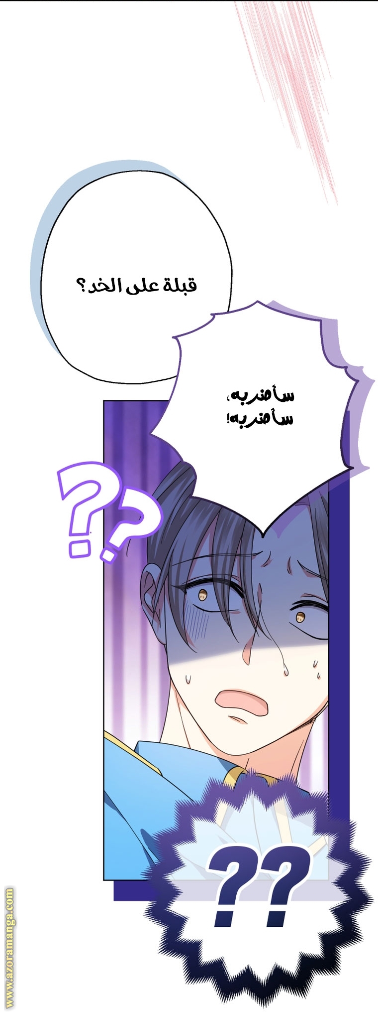 الصفحة 29