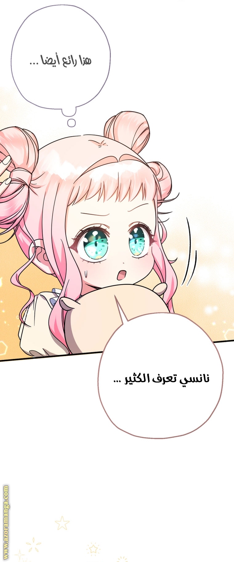 الصفحة 29