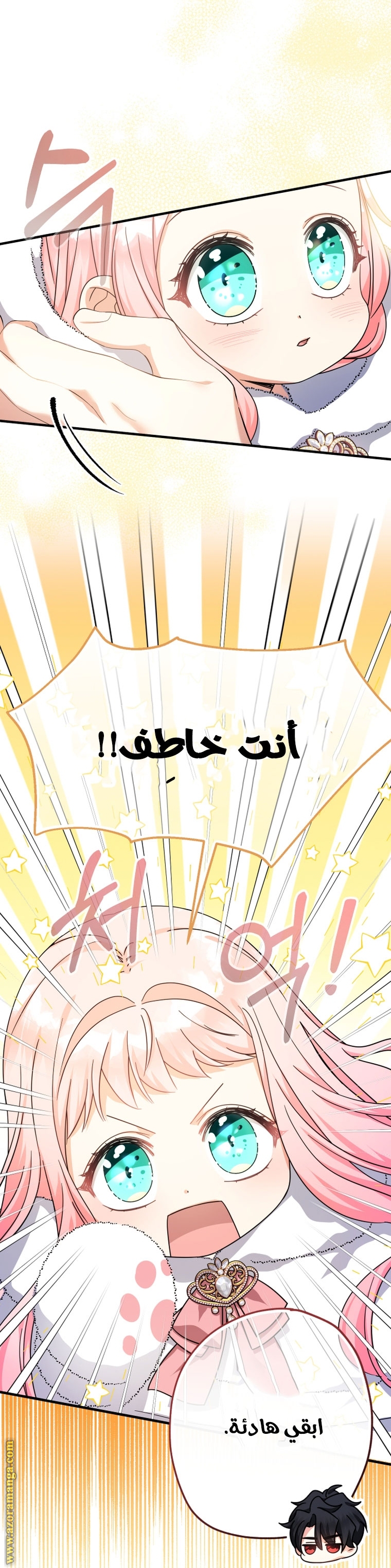 الصفحة 27