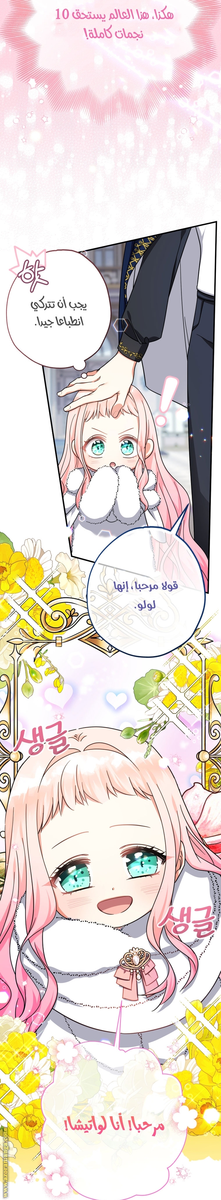 الصفحة 33