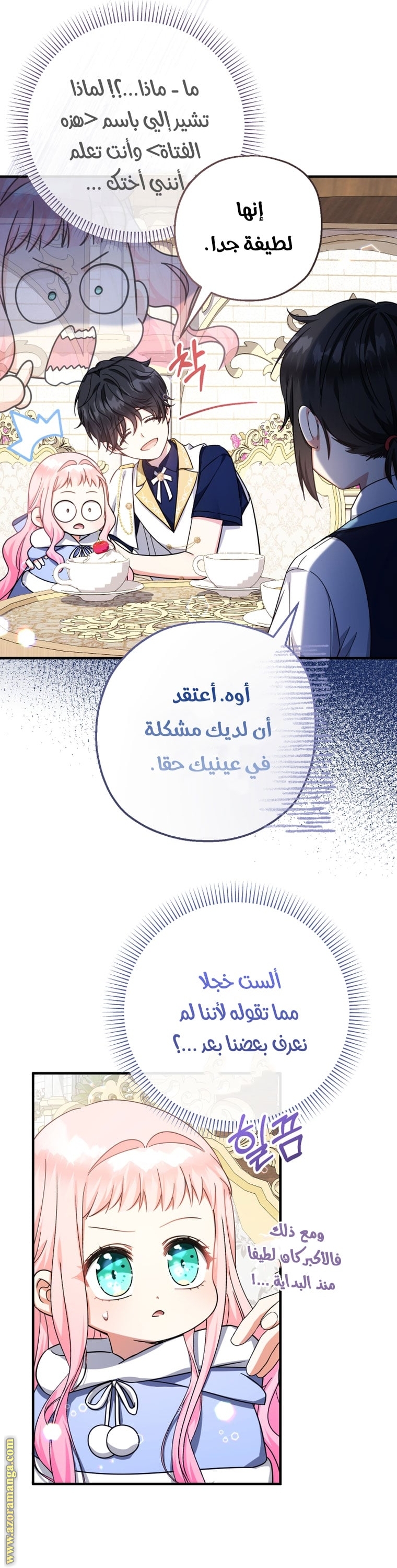 الصفحة 17