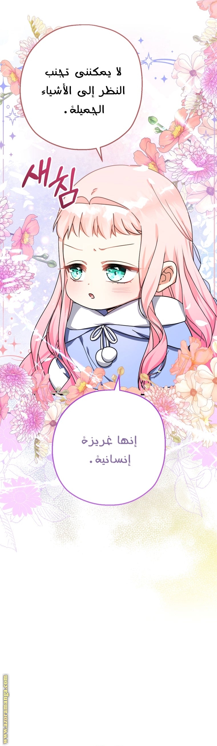 الصفحة 21
