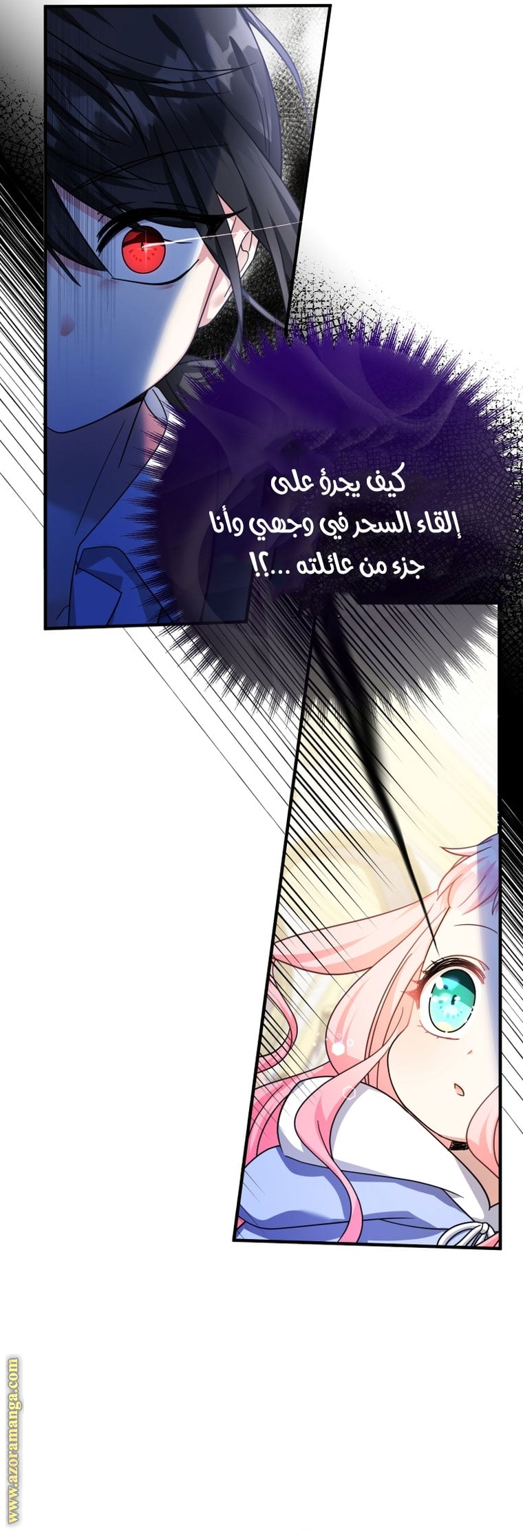 الصفحة 43