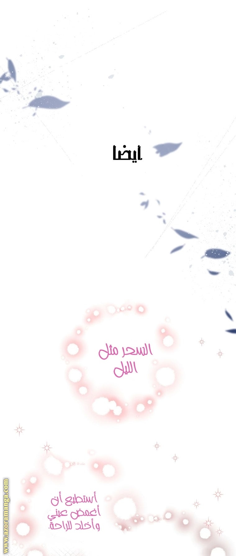 الصفحة 51