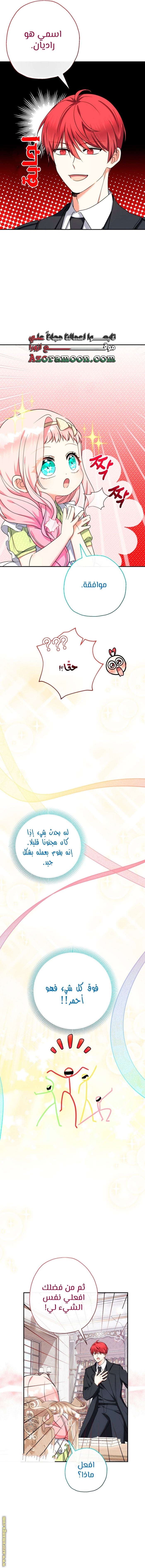 الصفحة 11