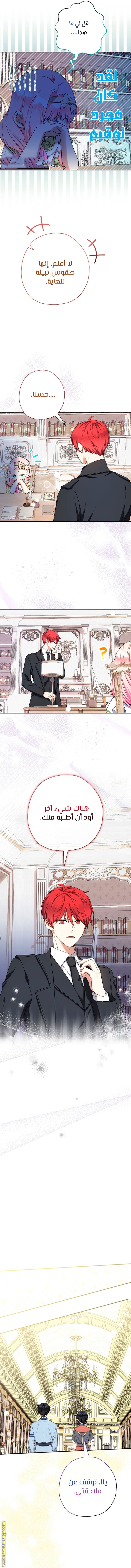 الصفحة 13
