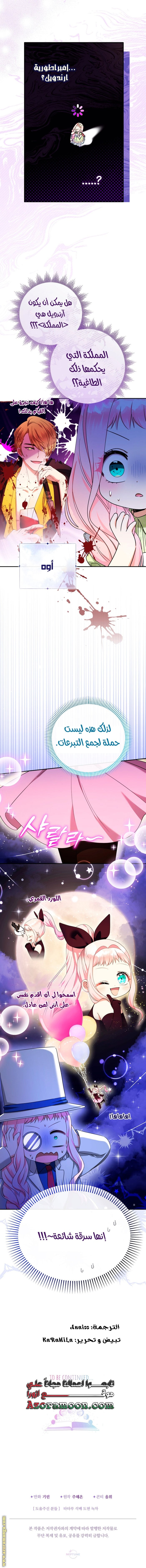 الصفحة 13
