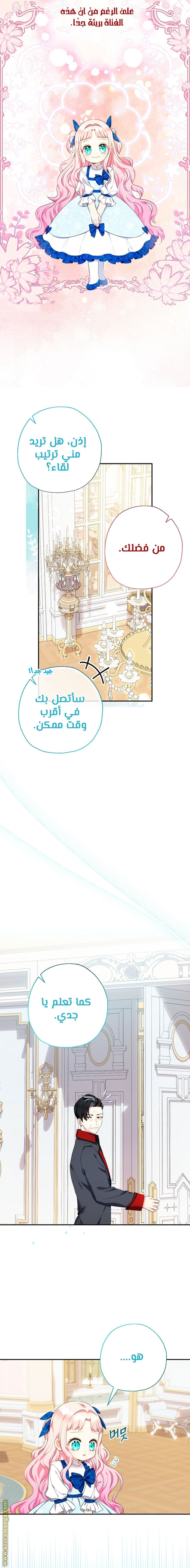 الصفحة 3