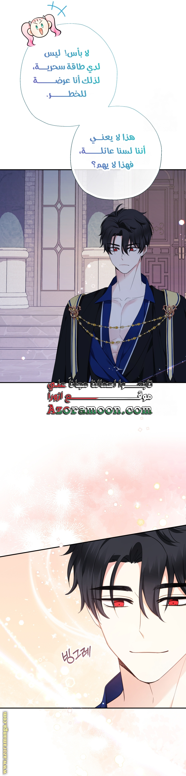 الصفحة 25