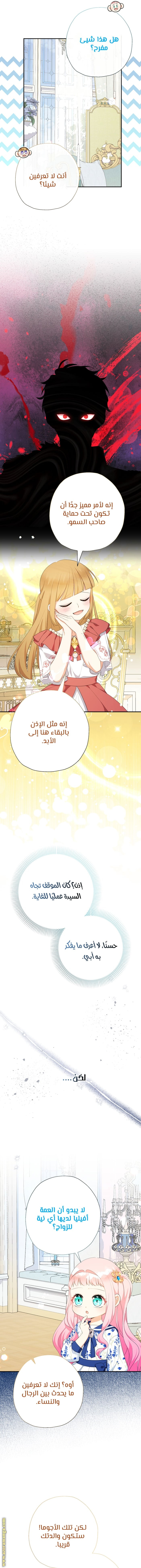 الصفحة 7