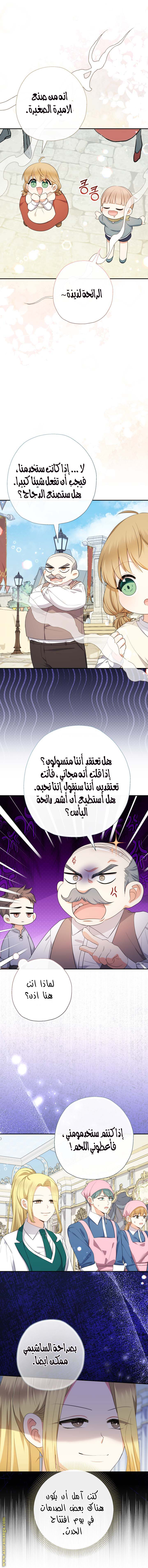 الصفحة 27