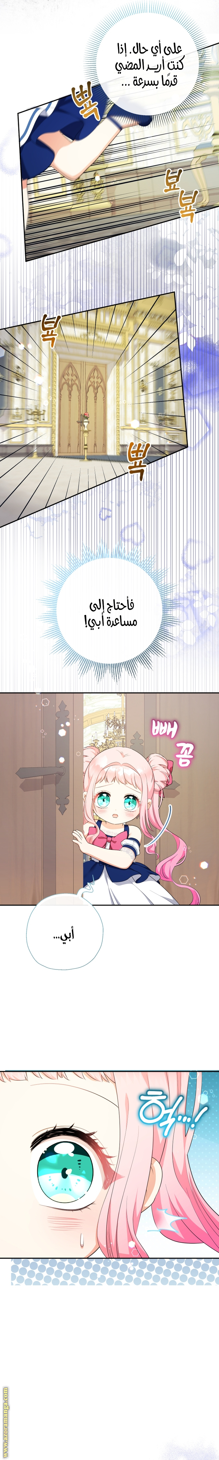 الصفحة 17