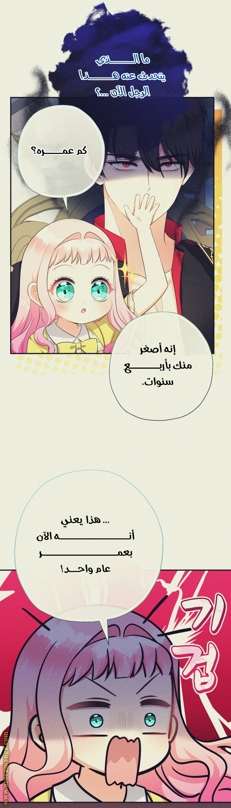 الصفحة 27