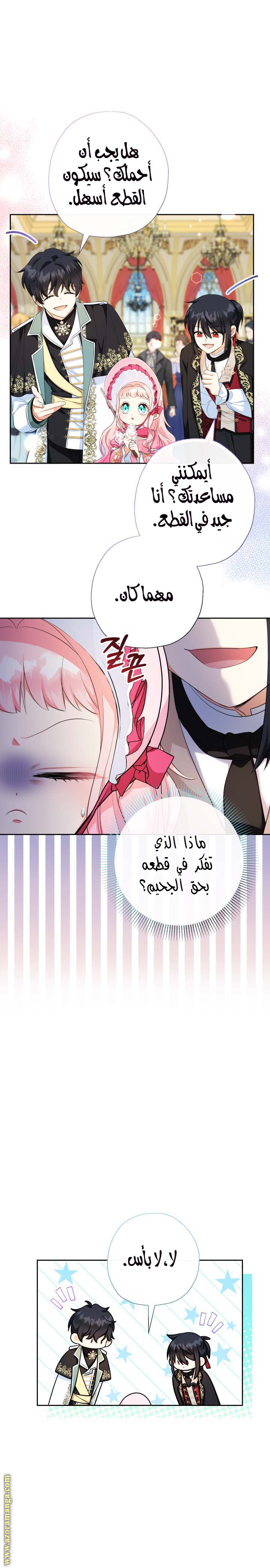 الصفحة 13