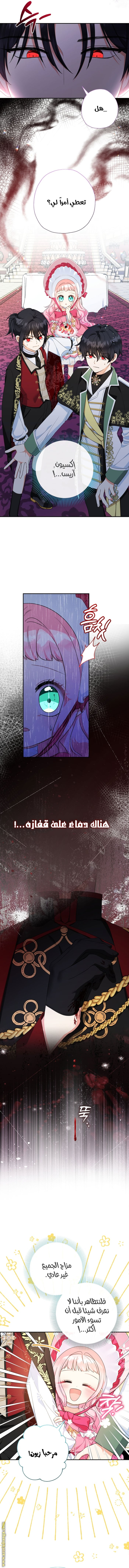 الصفحة 2