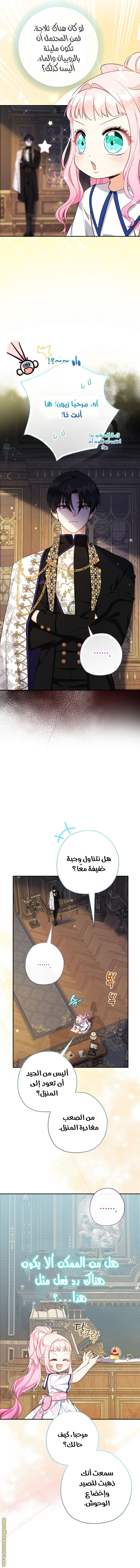 الصفحة 13
