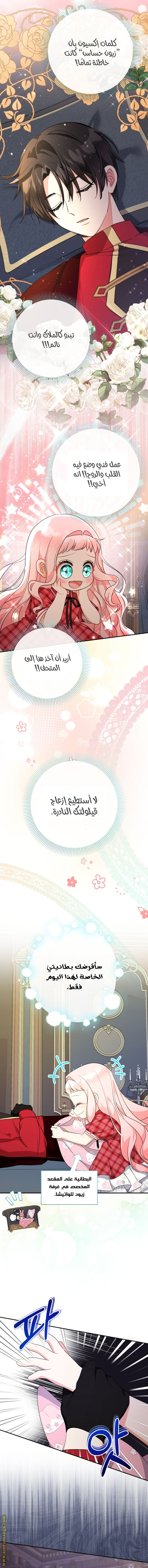 الصفحة 13