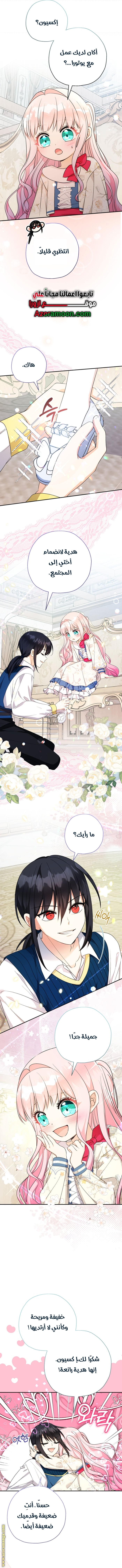 الصفحة 11
