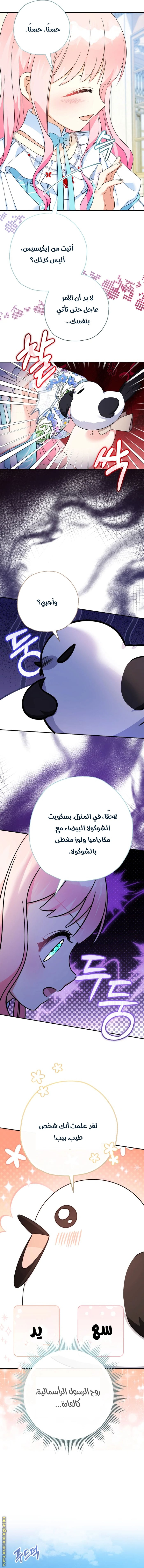 الصفحة 11
