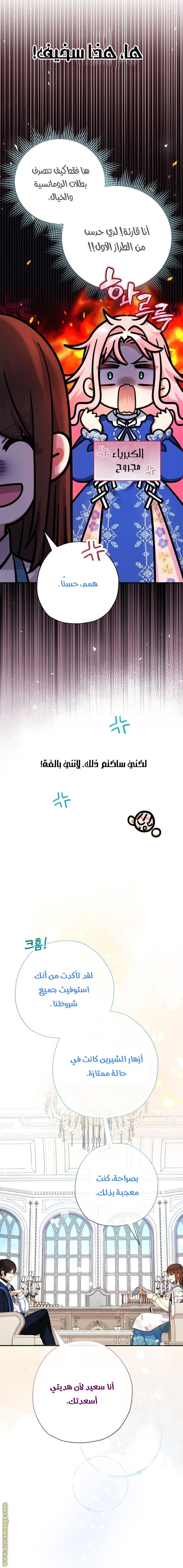 الصفحة 3