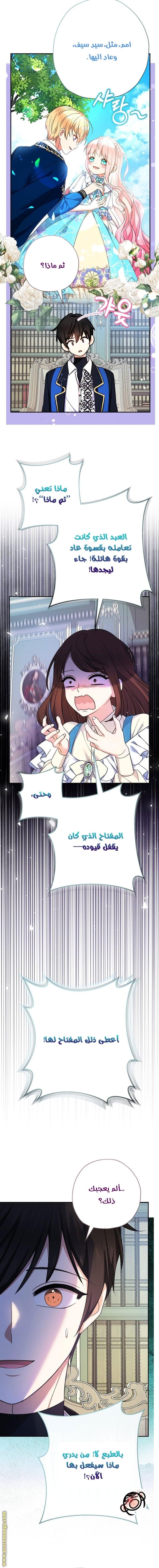 الصفحة 11