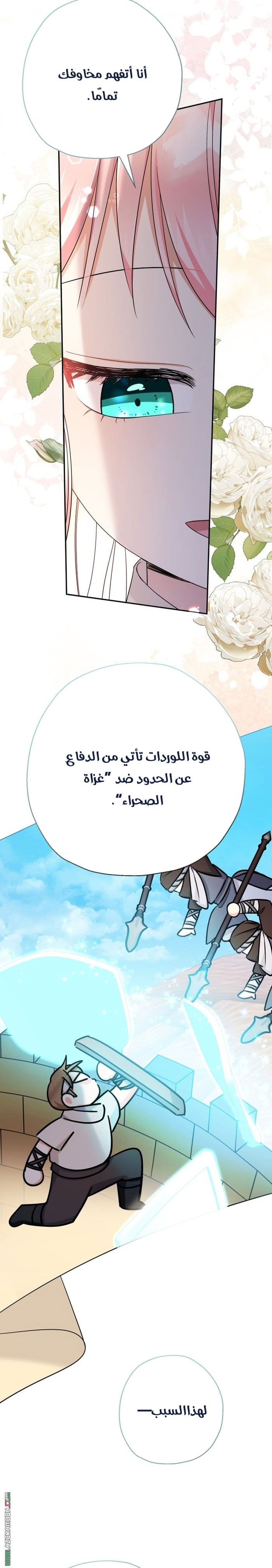الصفحة 11