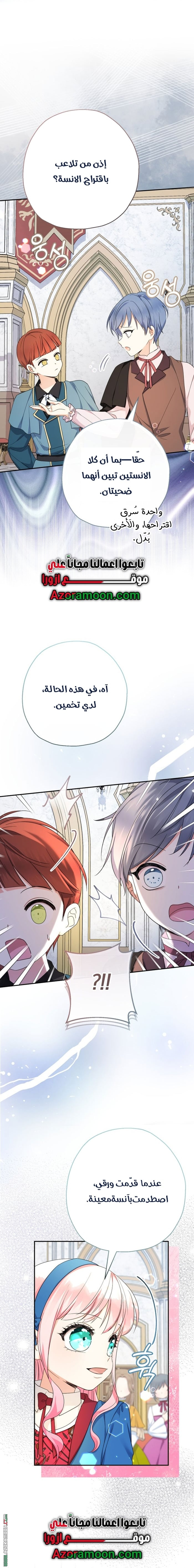الصفحة 17